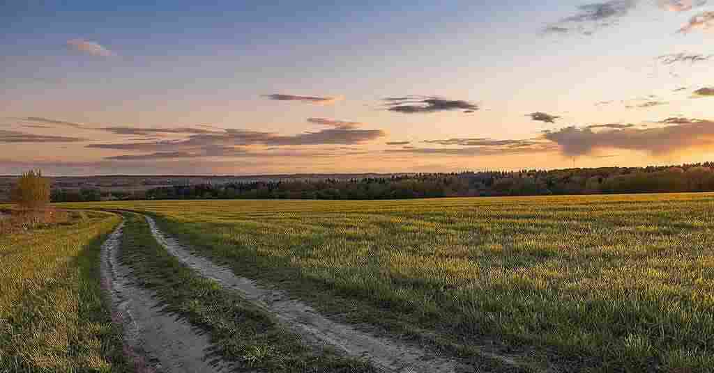 В Україні відкрився ринок землі для юридичних осіб