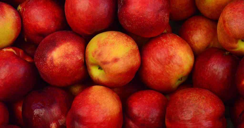 Яблука нового врожаю втричі дорожчі, ніж торік – моніторинг