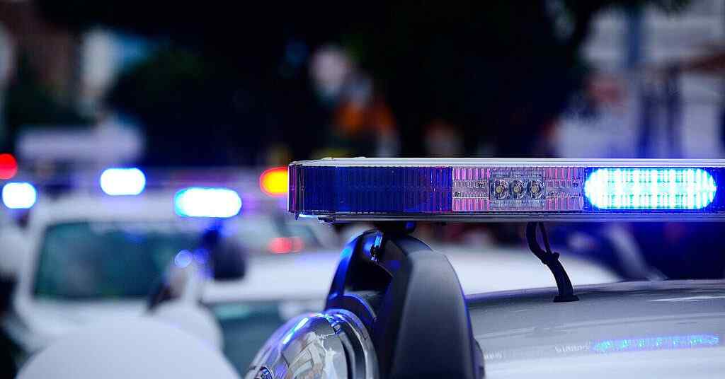 Словаччина передчасно розповіла про поліцейську операцію з Чехією в Україні