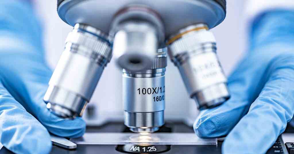 Швеція запускає нову ініціативу для підтримки українських вчених