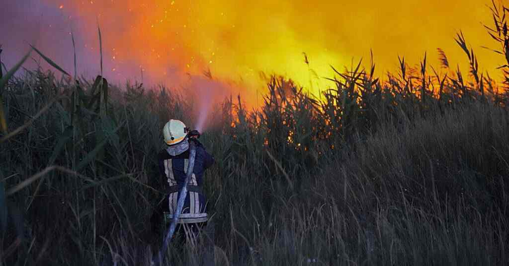 На Одещині вирують масштабні пожежі, є загибла та поранені