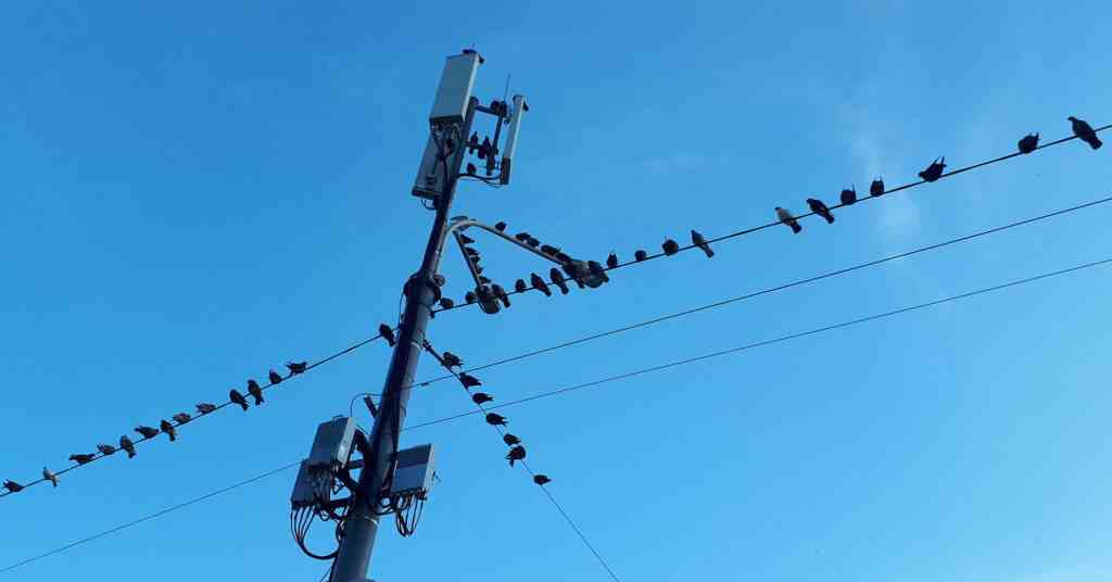 У Полтавській області через негоду залишилися без світла понад 5 тисяч жителів