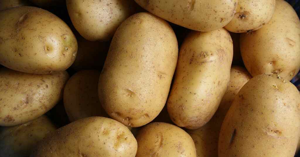 Ціни на картоплю нового врожаю продовжують знижуватися