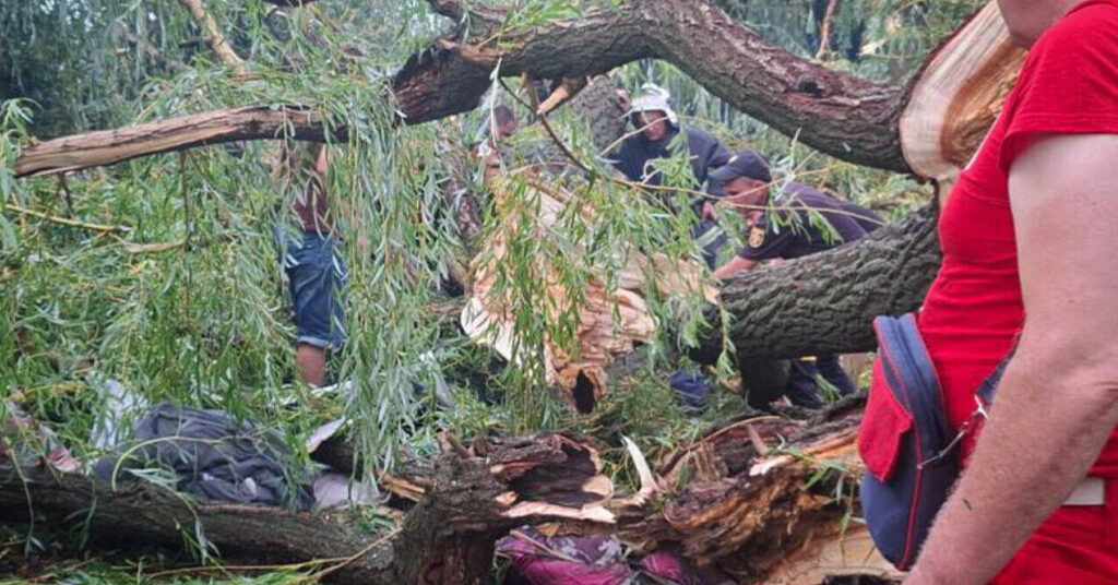 На Одещині дерево впало на намет з підлітками: є жертва