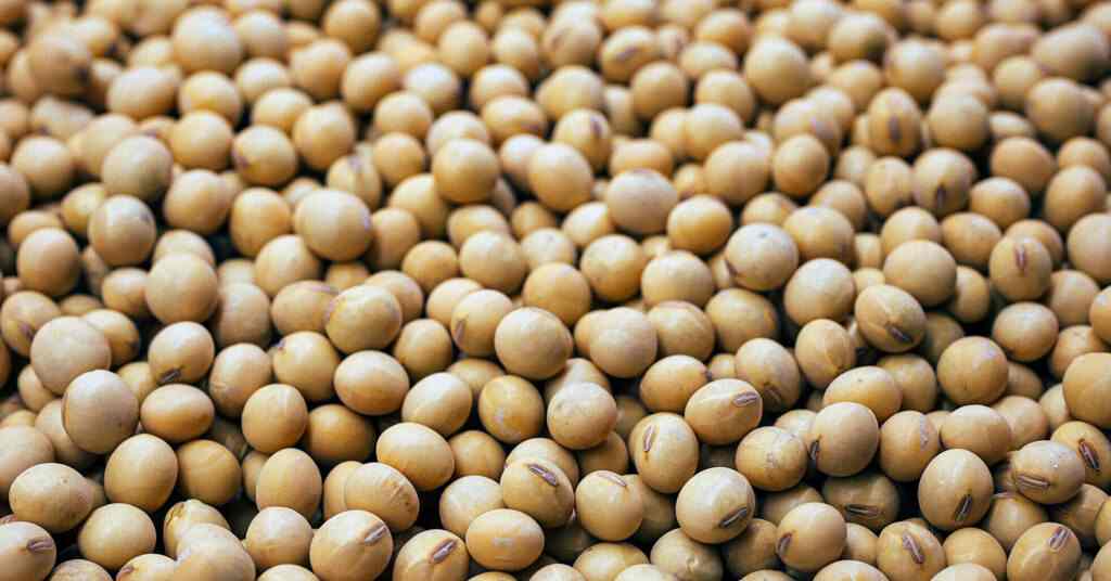 Рада проголосувала за експортні мита на сою та ріпак