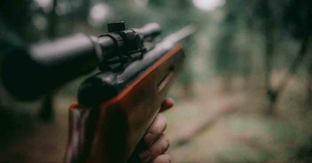 На Київщині 7-річний хлопчик застрелив сусідську дівчинку з мисливської рушниці