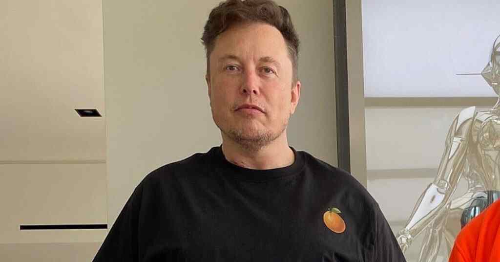 Маск призупинив створення партії через Венса – WSJ