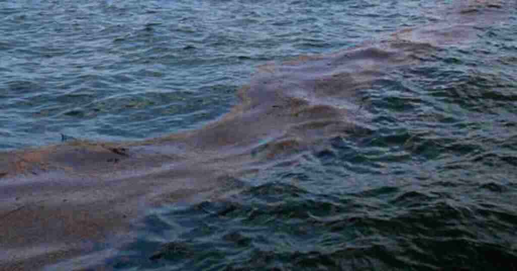 У РФ сталася витік нафтопродуктів у море, величезна пляма рухається до Криму У РФ сталася витік нафтопродуктів у море, величезна пляма рухається до Криму