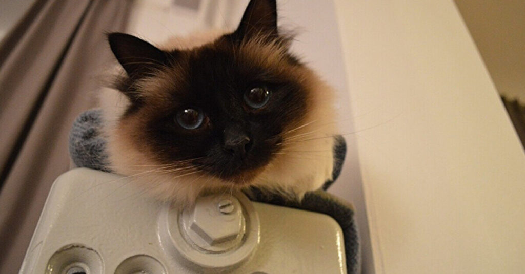 В Україні стартує опалювальний сезон: які міста вже з теплом В Україні стартує опалювальний сезон: які міста вже з теплом