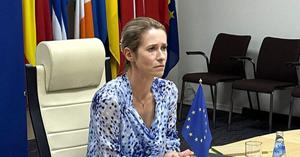 Каллас підтвердила, що проєкт “стіна дронів” пошириться на весь ЄС