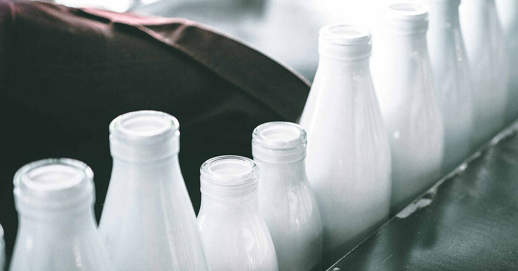 Виробники молока можуть призупинити роботу через зниження закупівельних цін Виробники молока можуть призупинити роботу через зниження закупівельних цін