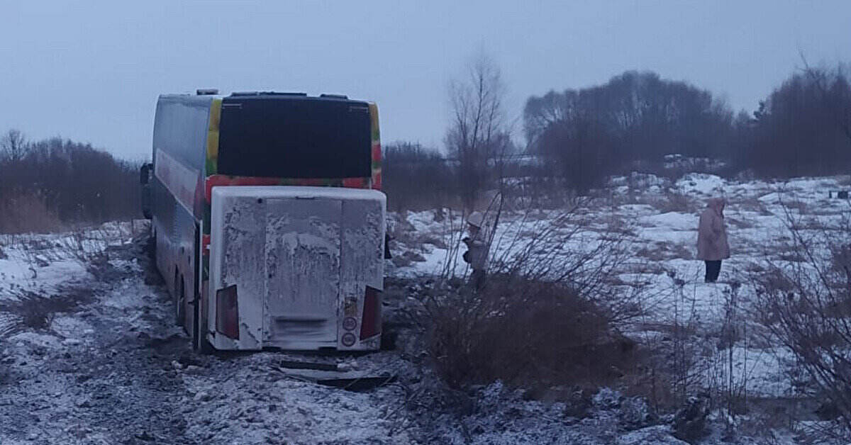 Автобус злетів у кювет на трасі Львів-Луцьк: постраждали пасажири Автобус злетів у кювет на трасі Львів-Луцьк: постраждали пасажири