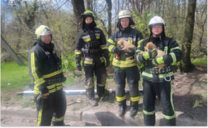 У Запоріжжі надзвичайники врятували двох цуценят із колодязя