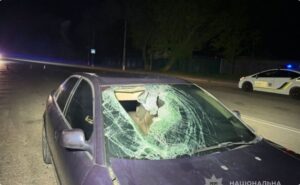 Постраждав пішохід: у Запоріжжі розшукують свідків ДТП