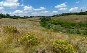 Прокуратура зобов’язала встановити межі заповідного урочища «Балка Крутенька» на Дніпропетровщині