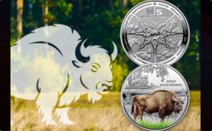 НБУ випустив пам’ятну монету, присвячену чорнобильському зубру
