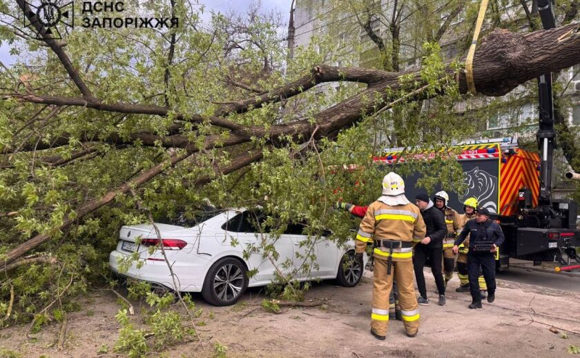 У Запоріжжі під час негоди дерево впало на автівку: загинув чоловік