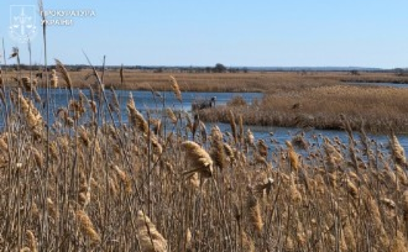 Віддали острів регіонального парку під селянське господарство: прокуратура оскаржує незаконну передачу землі у Самарських плавнях