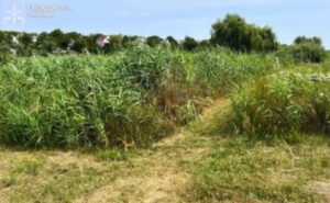 Прокуратура оскаржує незаконну оренду прибережжя у Дніпровському районі Прокуратура оскаржує незаконну оренду прибережжя у Дніпровському районі