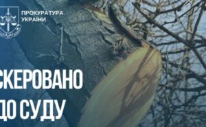 Незаконна порубка дерев зі збитками довкіллю на понад 2 млн грн: судитимуть жителів Запорізького району