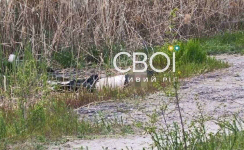 У Кривому Розі біля популярного ТРЦ із води дістали тіло потопельника