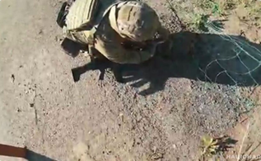 Запорізькі поліцейські врятували їжака, який застряг в антидроновій сітці