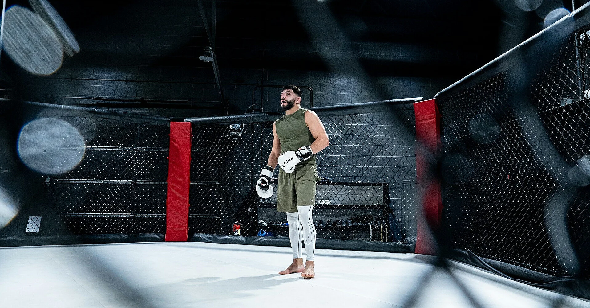 Билеты на турнир UFC у Белого дома предлагают до ,5 млн Билеты на турнир UFC у Белого дома предлагают до ,5 млн