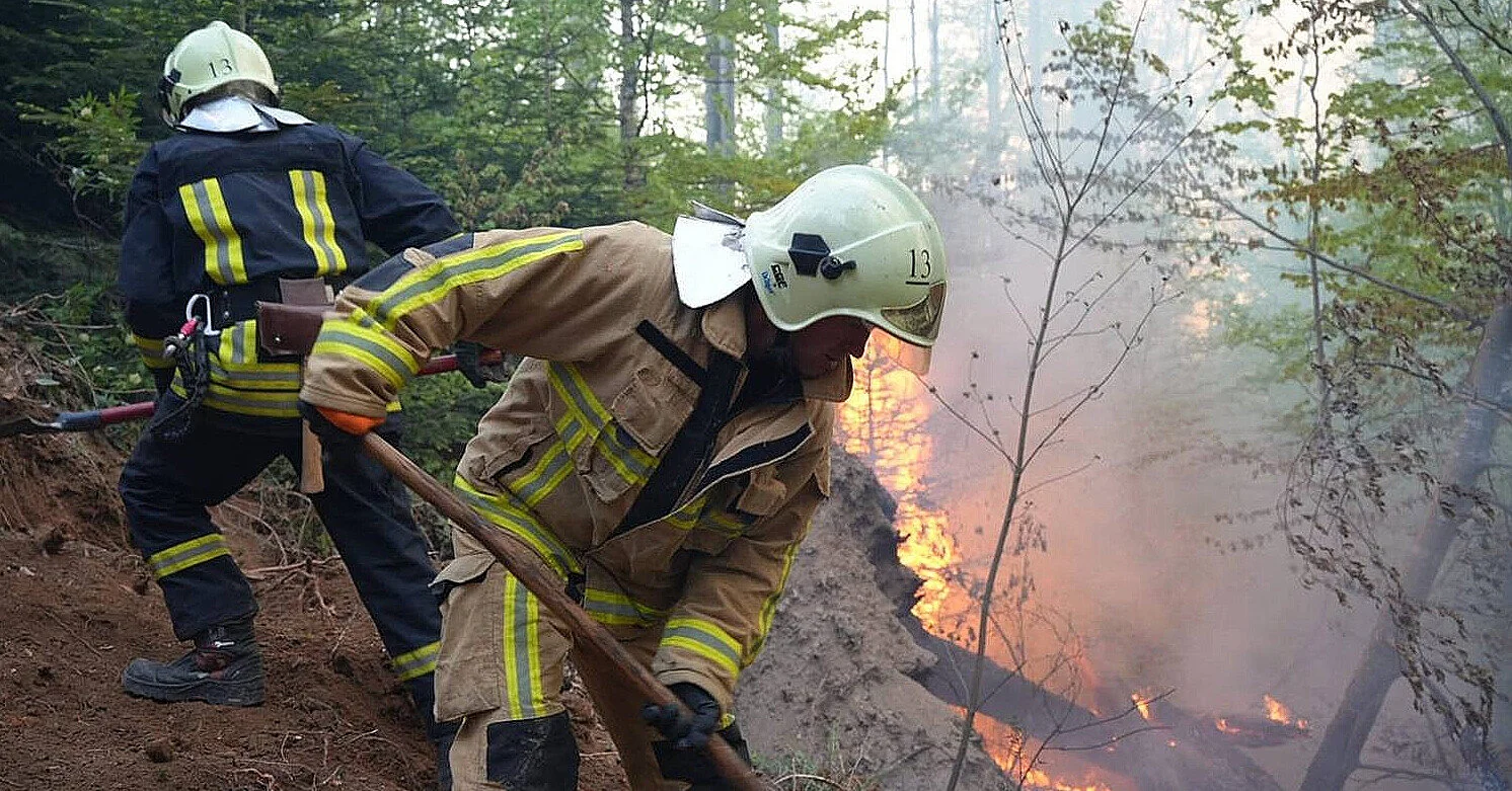 У двох областях України локалізували масштабні лісові пожежі