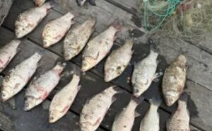 Водний патруль Дніпра виявив рибалку-браконьєра, який порушив нерестову заборону Водний патруль Дніпра виявив рибалку-браконьєра, який порушив нерестову заборону
