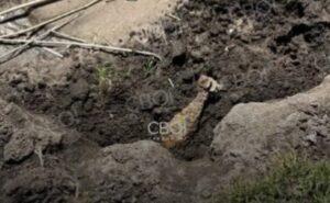 У Кривому Розі рибалки знайшли біля річки вибухонебезпечний предмет
