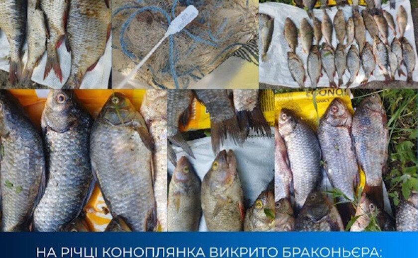 На Дніпропетровщині браконьєр наловив риби на понад 82 тисячі гривень збитків На Дніпропетровщині браконьєр наловив риби на понад 82 тисячі гривень збитків