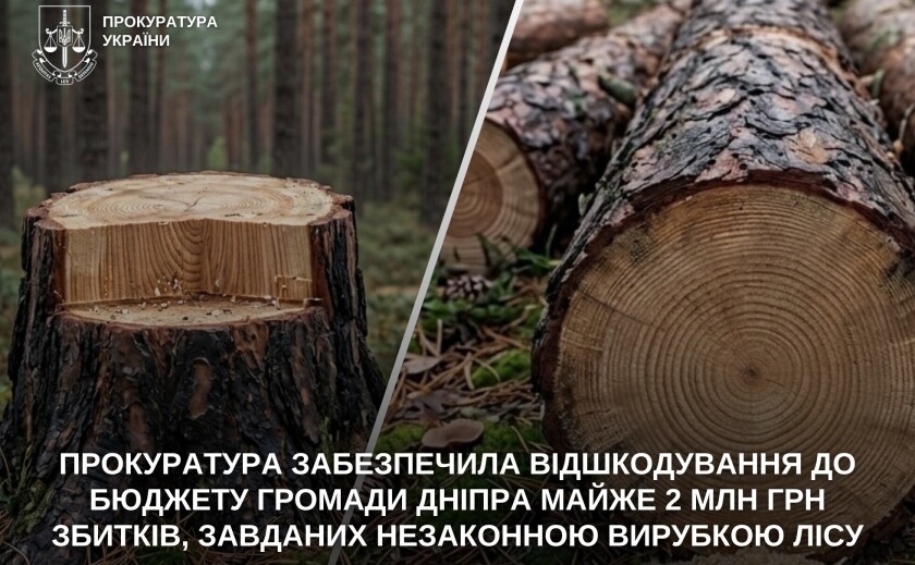 Після позову прокуратури до бюджету Дніпра повернули майже 2 млн грн за незаконну вирубку лісу