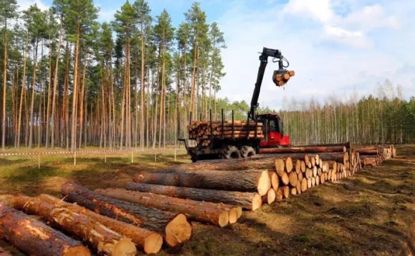 ДП «Ліси України» заплатило майже 800 тисяч гривень за незаконну вирубку дерев на Дніпропетровщині ДП «Ліси України» заплатило майже 800 тисяч гривень за незаконну вирубку дерев на Дніпропетровщині