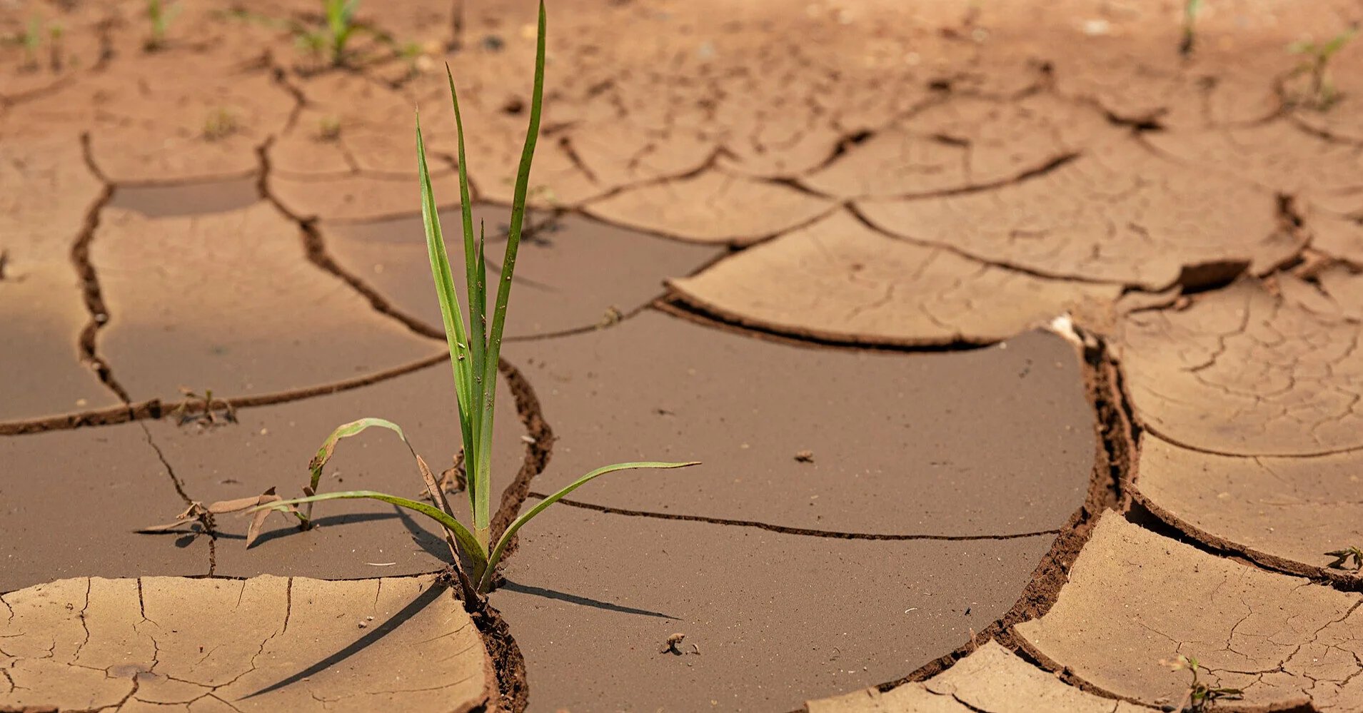 Пробудження El Niño: глобальна кліматична аномалія готує світові погодний хаос та новий виток інфляції майбутньої зими Пробудження El Niño: глобальна кліматична аномалія готує світові погодний хаос та новий виток інфляції майбутньої зими
