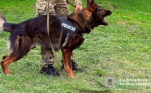 У Самарі молоді поліцейські тренувалися разом із кінологами та службовим собакою