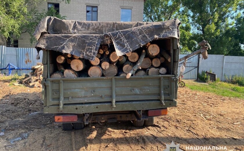 На Дніпропетровщині викрили «чорних лісорубів»: збитки оцінили майже у 700 тисяч гривень На Дніпропетровщині викрили «чорних лісорубів»: збитки оцінили майже у 700 тисяч гривень