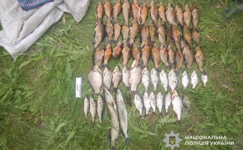 На Дніпропетровщині трьом чоловікам повідомлено про підозру за незаконний вилов риби На Дніпропетровщині трьом чоловікам повідомлено про підозру за незаконний вилов риби