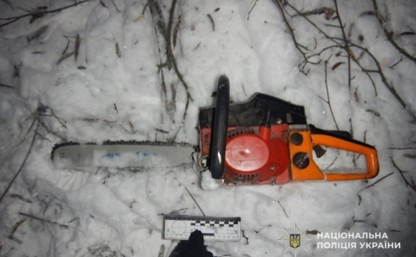 На Дніпропетровщині чоловіка судитимуть за незаконну вирубку дерев у заповіднику