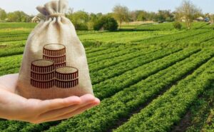 До бюджету Запоріжжя повернули понад 1,6 млн грн за користування землею без договору оренди До бюджету Запоріжжя повернули понад 1,6 млн грн за користування землею без договору оренди