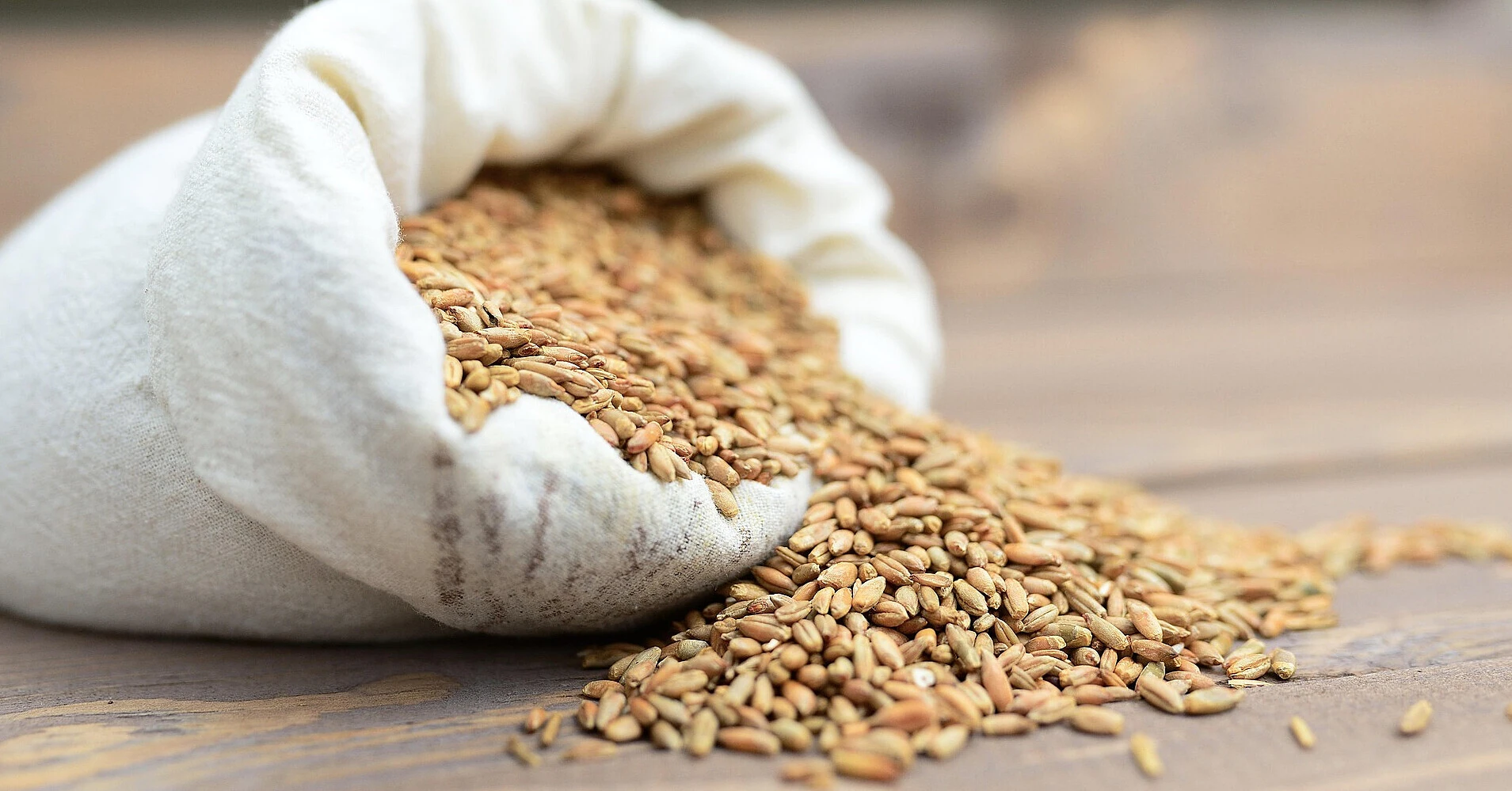 Зернові різко подешевшали, але ціни на продукти у світі майже не змінилися