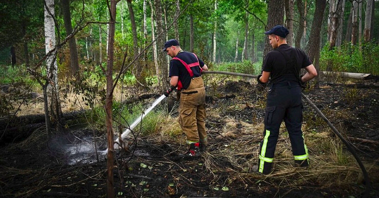 У Чорнобильській зоні повністю загасили тривалу лісову пожежу