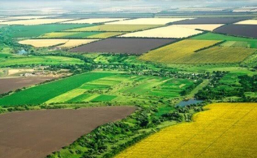 На Дніпропетровщині засудили посадовців міськради, які вимагали хабар за виділення землі
