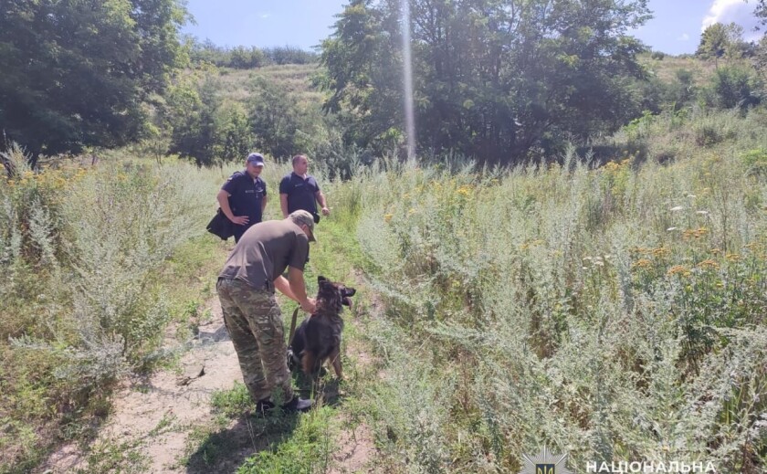 На Дніпропетровщині службові собаки відпрацювали пошук людей під завалами На Дніпропетровщині службові собаки відпрацювали пошук людей під завалами