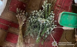 На Криворіжжі у 69-річного чоловіка виявили плантацію конопель і понад сотню рослин маку На Криворіжжі у 69-річного чоловіка виявили плантацію конопель і понад сотню рослин маку