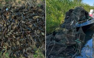 На Південному водосховищі у Кривому Розі рибоохоронці врятували понад тисячу раків