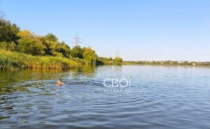 У Кривому Розі за один день біля водойм померли двоє чоловіків: подробиці У Кривому Розі за один день біля водойм померли двоє чоловіків: подробиці