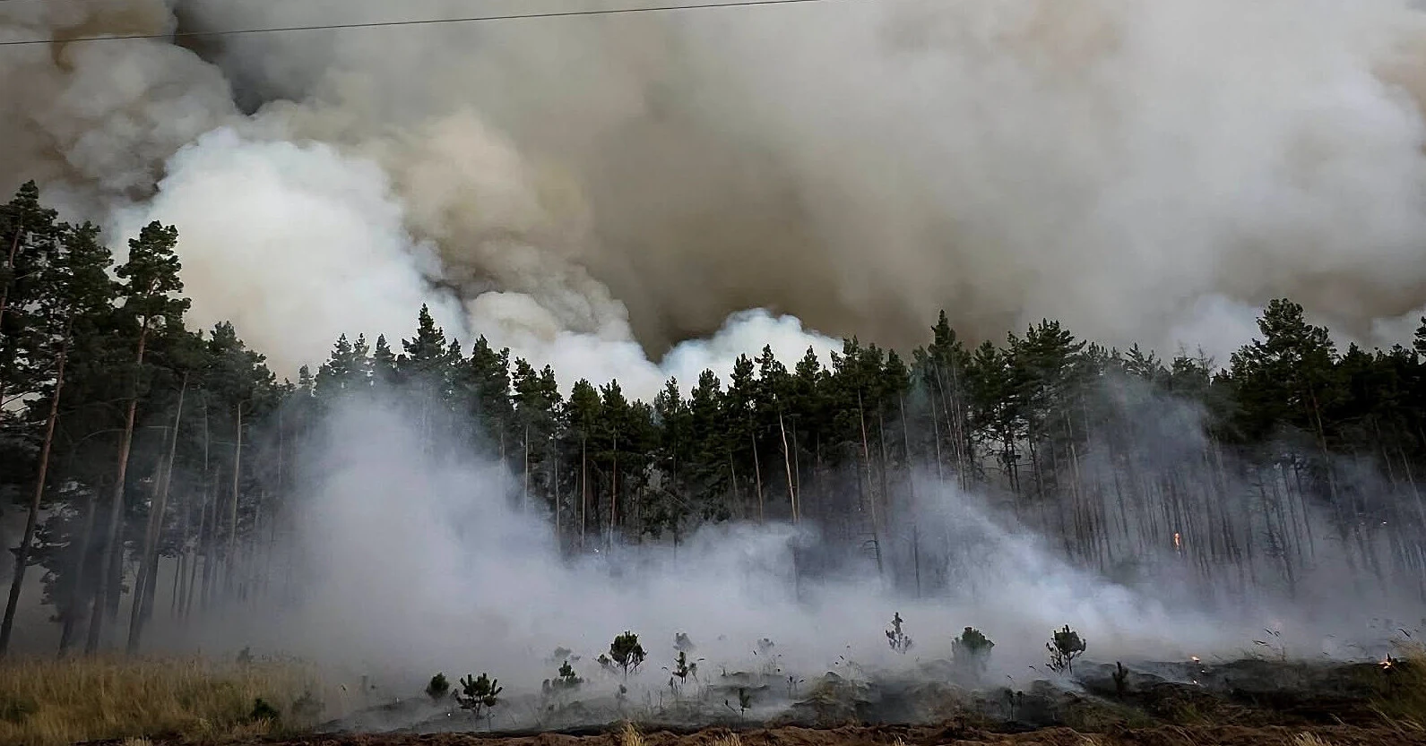 Під Києвом гасять масштабну лісову пожежу: залучено значні сили