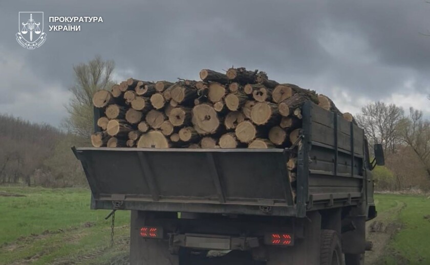 На Дніпропетровщині судитимуть «чорних лісорубів», які завдали державі майже 3 млн грн збитків На Дніпропетровщині судитимуть «чорних лісорубів», які завдали державі майже 3 млн грн збитків