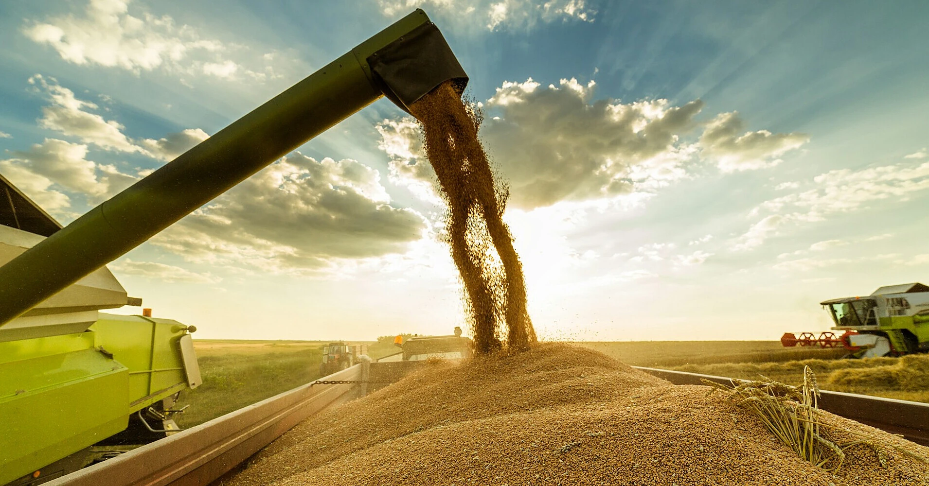 Україна збільшила торгівлю агропродукцією з ЄС до ,55 млрд