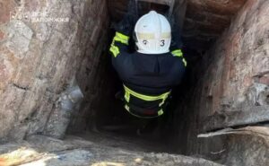 У Запоріжжі рятувальники витягли з чотириметрової ями двох котів У Запоріжжі рятувальники витягли з чотириметрової ями двох котів